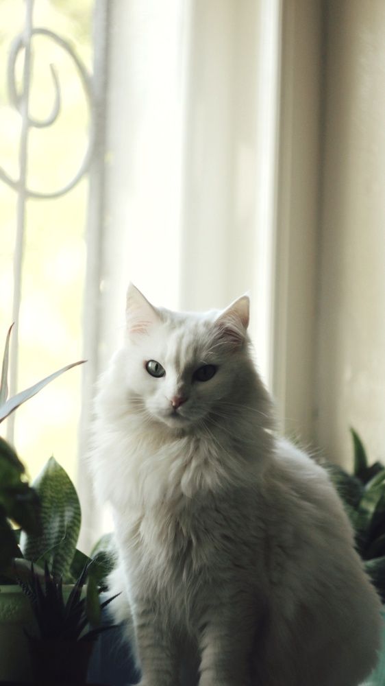 Photograph by Алёна Бондаренко