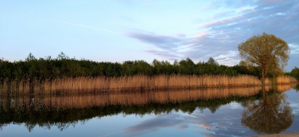 Весна на реке