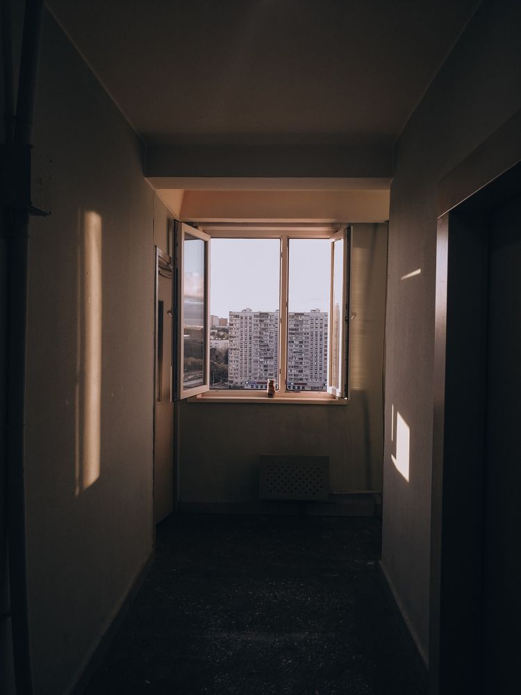 Photograph by Александра Пургаева