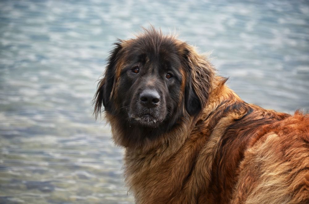 Photograph by Валерий