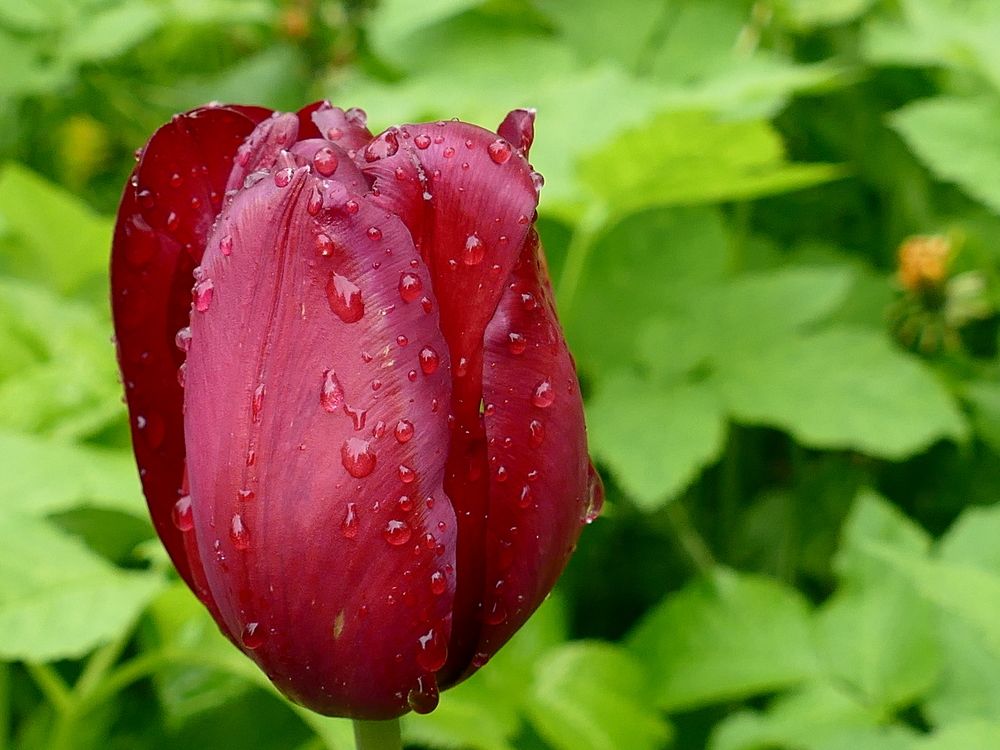 Photograph by Александр Кизим