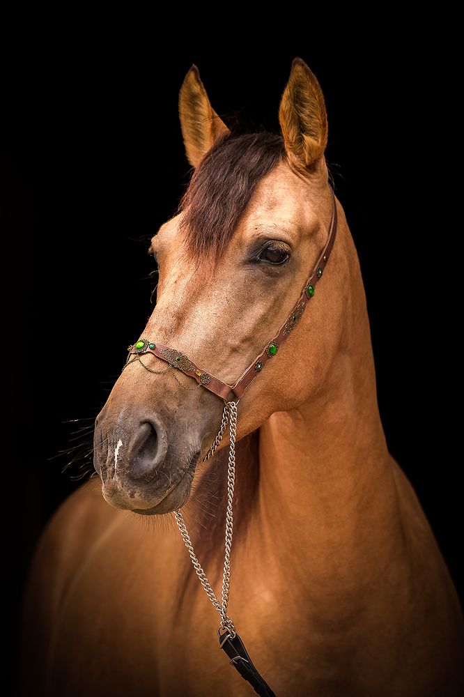 Photograph by Paweł Piątek