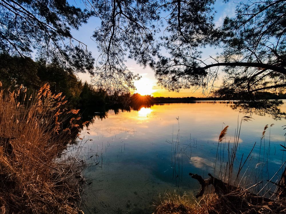 Фотография автора Пётр Чирков