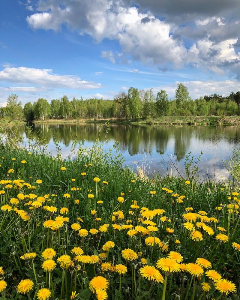 Photograph by Лариса Акинчиц