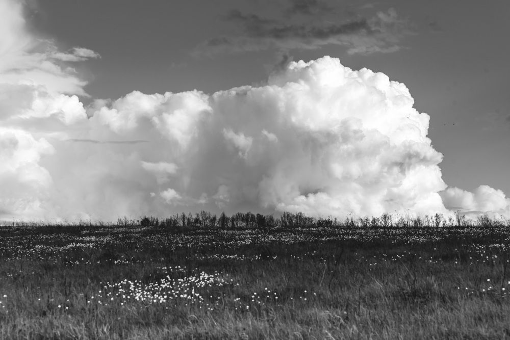 Photograph by Марина Сапронова