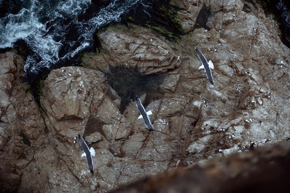 Photograph by Алёна Николаева