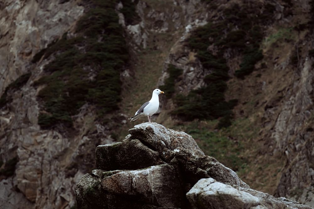 Photograph by Алёна Николаева