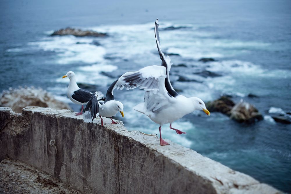 Photograph by Алёна Николаева