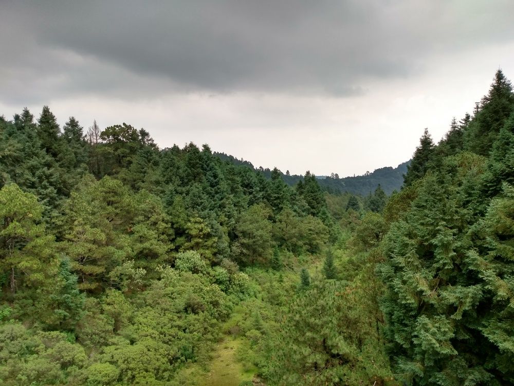 Photograph by José Luis Mendoza Machado