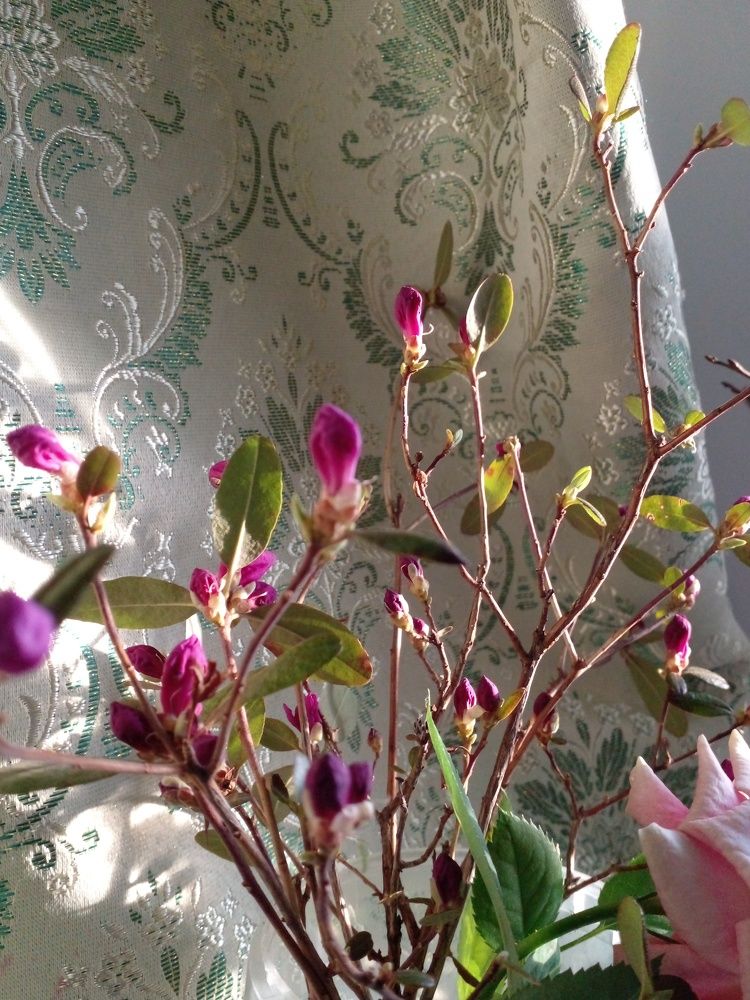 Photograph by Татьяна Собенникова