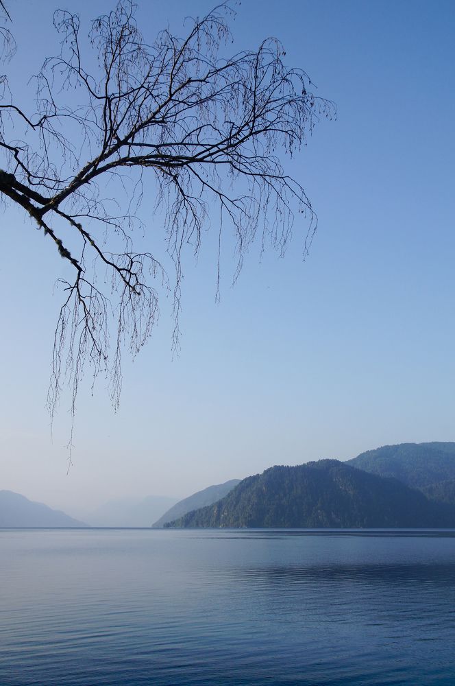 Ностальгия