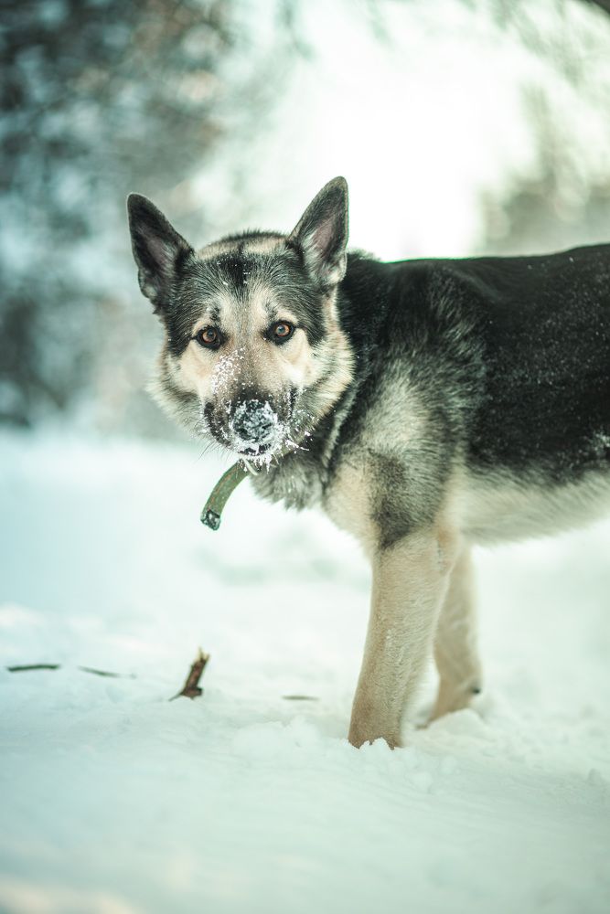 Photograph by Мария Вербицкая