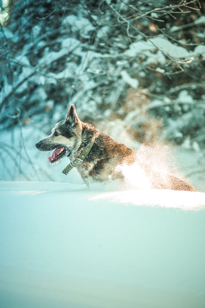 Photograph by Мария Вербицкая