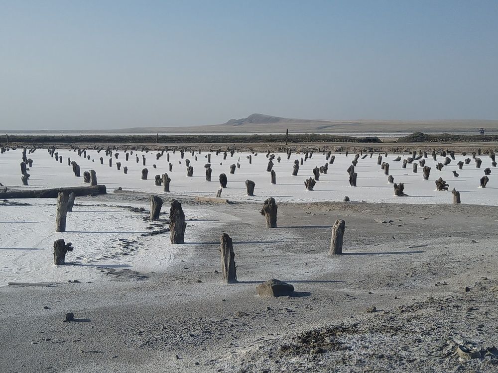 Photograph by Nadin Gaaze