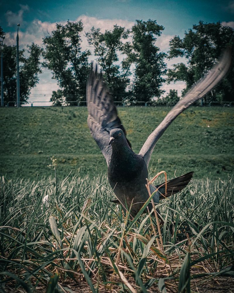 Photograph by Владимир Гончаров