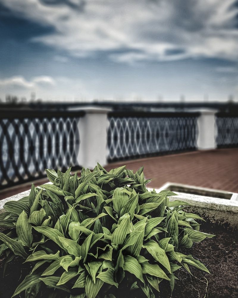 Photograph by Владимир Гончаров