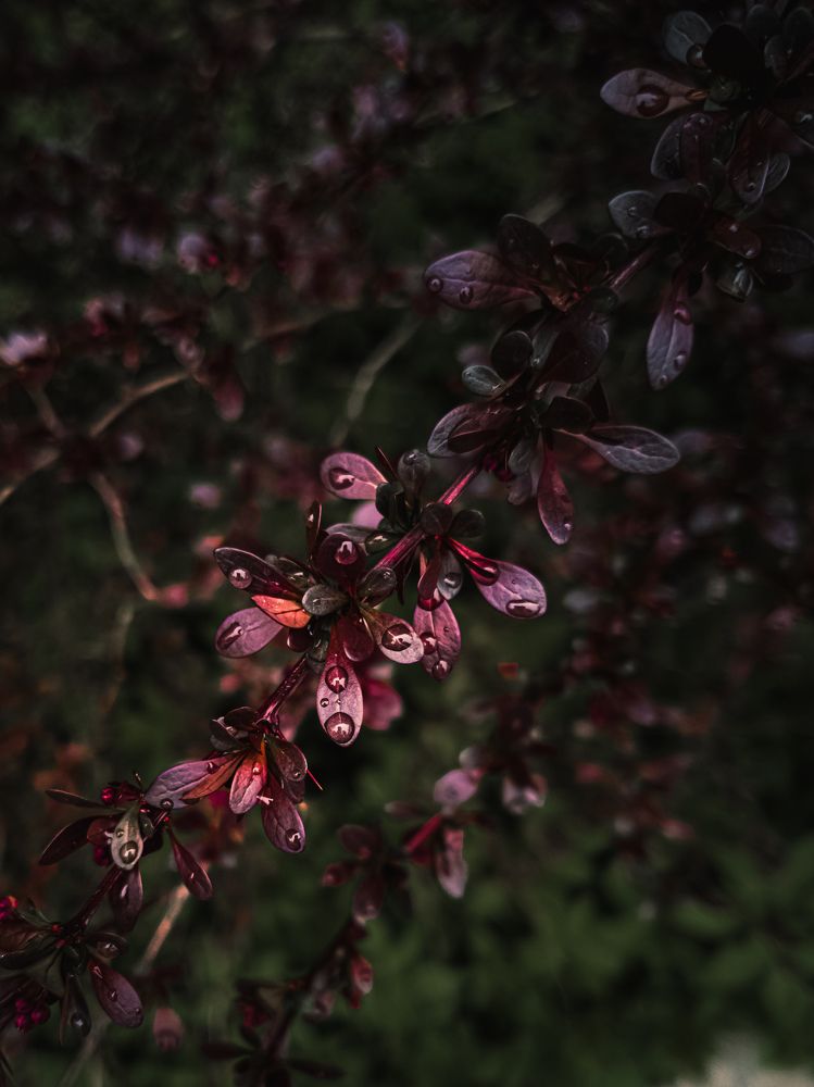 Photograph by Александр Безуглый