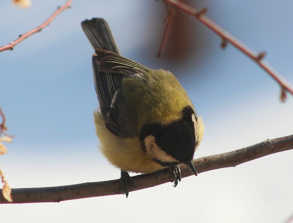 Photograph by Мария Мельникова