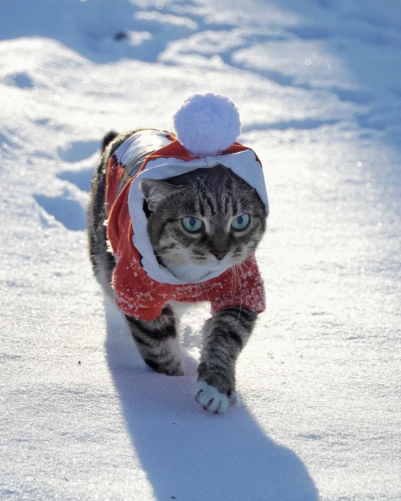 Photograph by Высотских Владимир