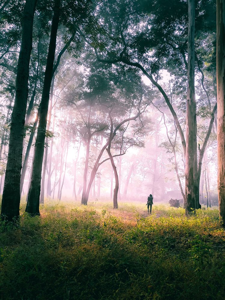 Photograph by Sumaydeep Sen