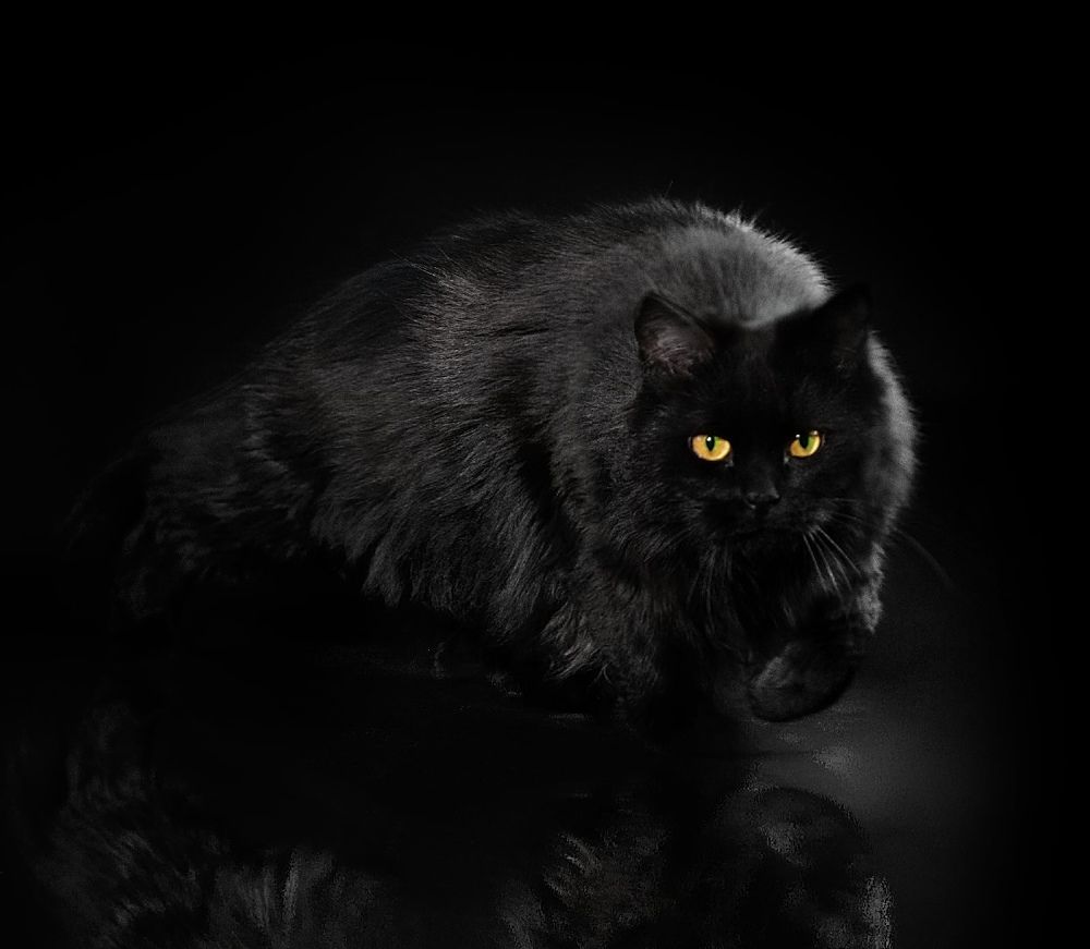 Photograph by Дина Колдомова