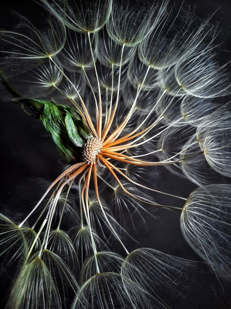 Photograph by Марина Соколова