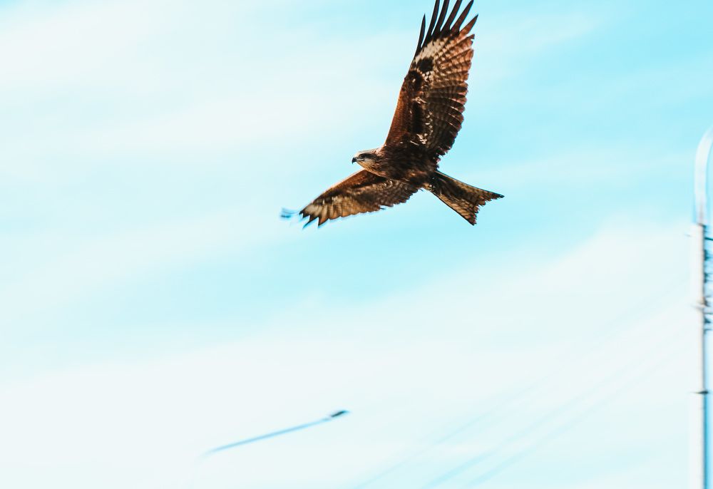 Photograph by Нежданна Казаченко