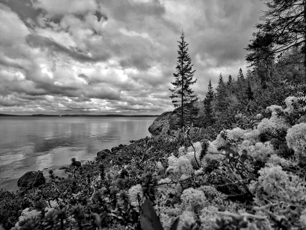 Photograph by Елена Артёменко