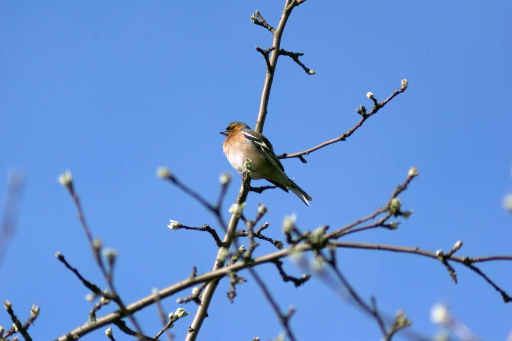 Photograph by Виктор Бурмистров
