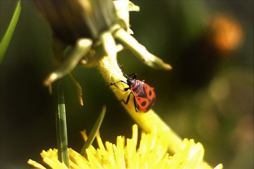 Photograph by Алексей Сиваков