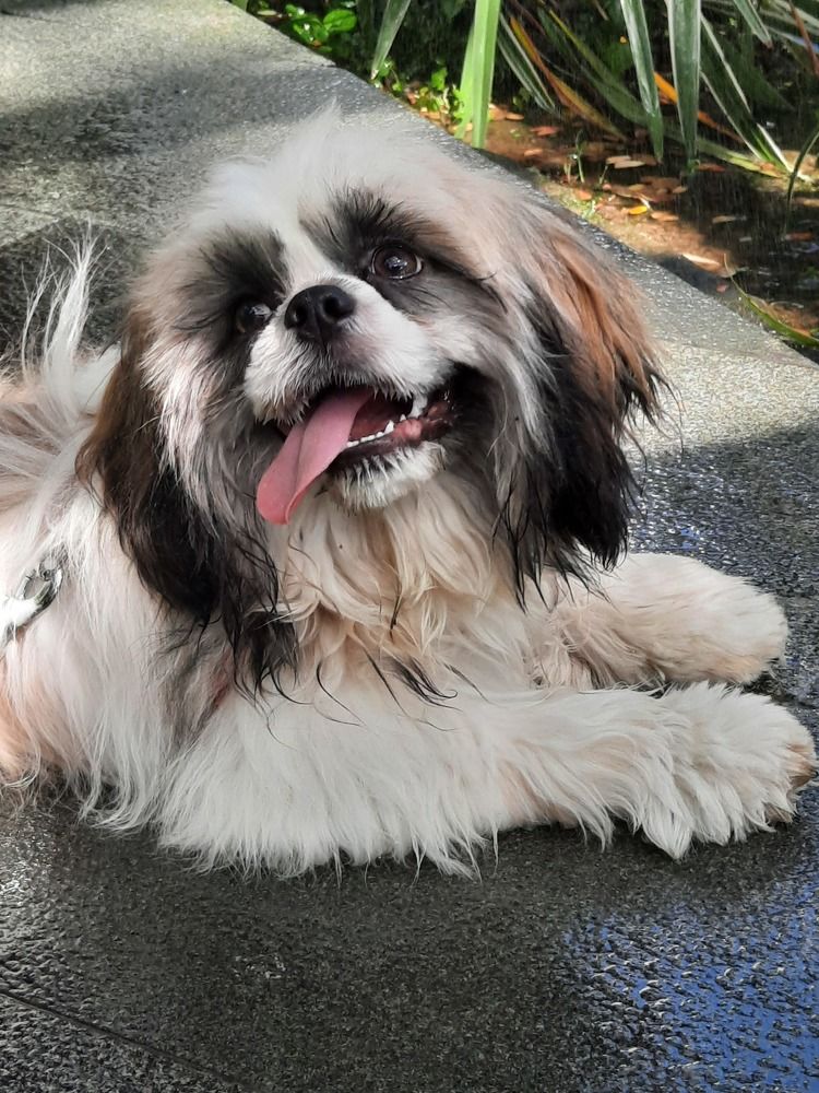 Photograph by Ольга Закаблуковская