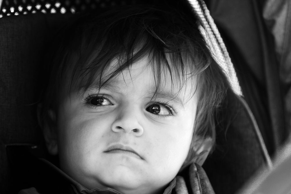 Photograph by mehdi karimi souderjani