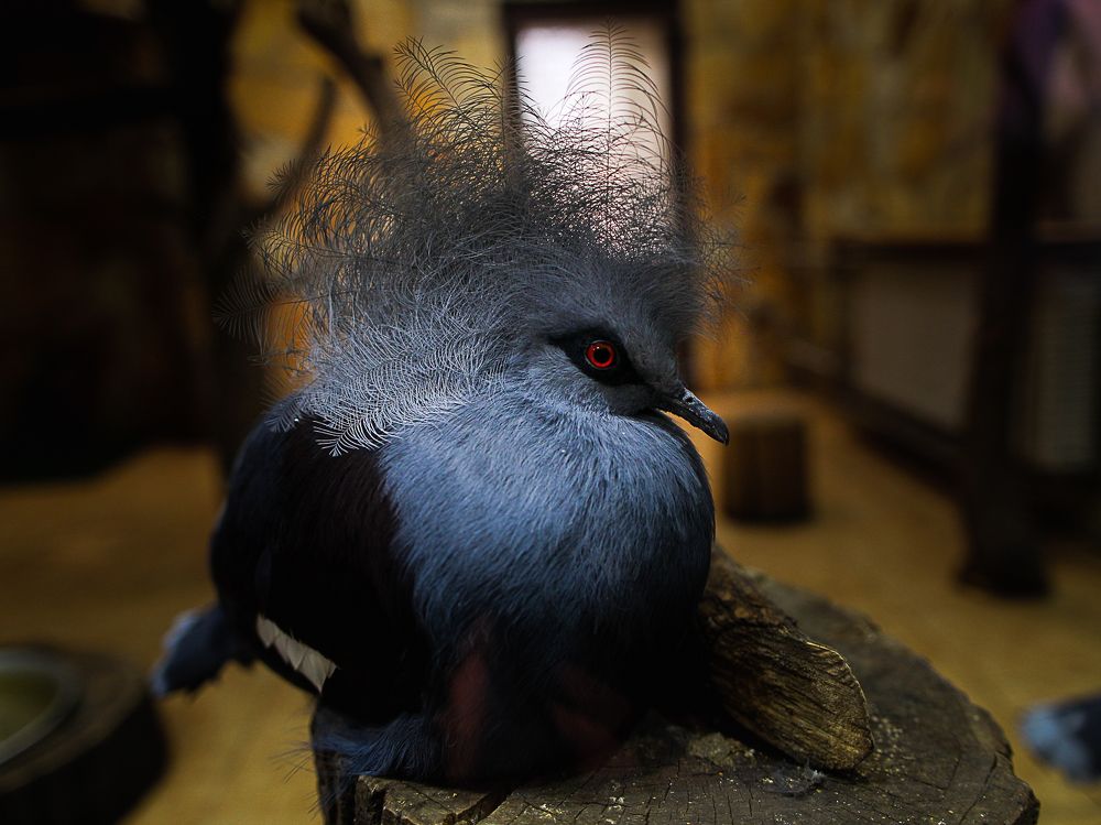 Photograph by Анатолий Буянов