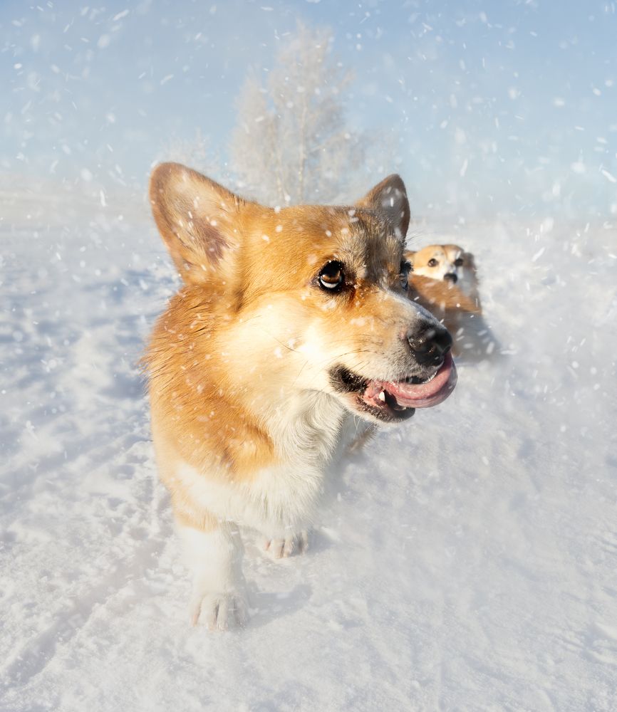 Photograph by Екатерина Стецова