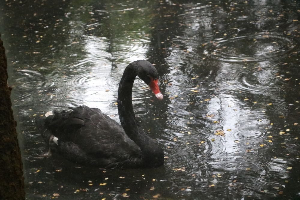 Photograph by Dimuth De Zoysa