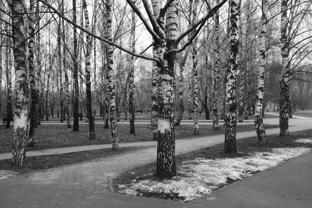Photograph by Irina Volkova