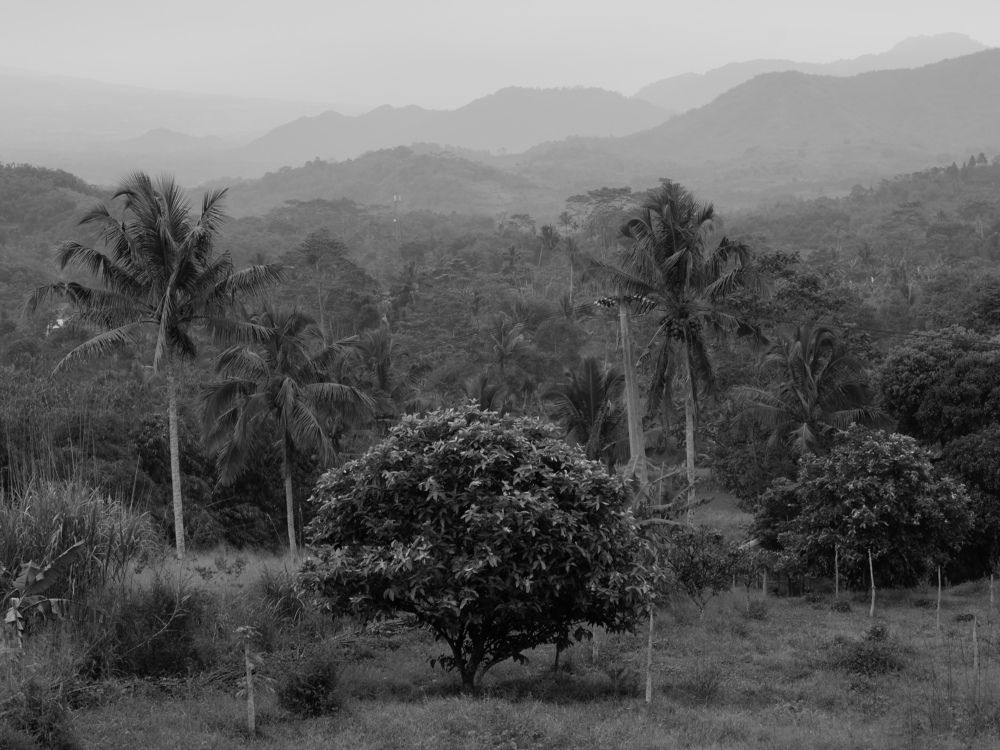 Фотография автора R. Zai