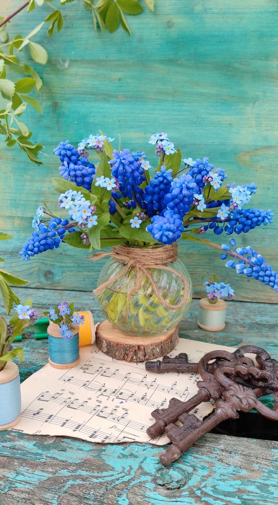 Фотография автора Марина Гусева