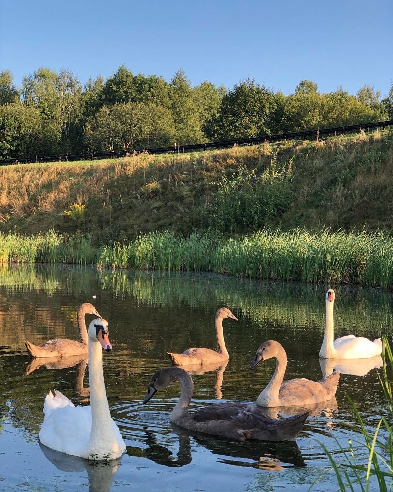 Photograph by Лариса Акинчиц