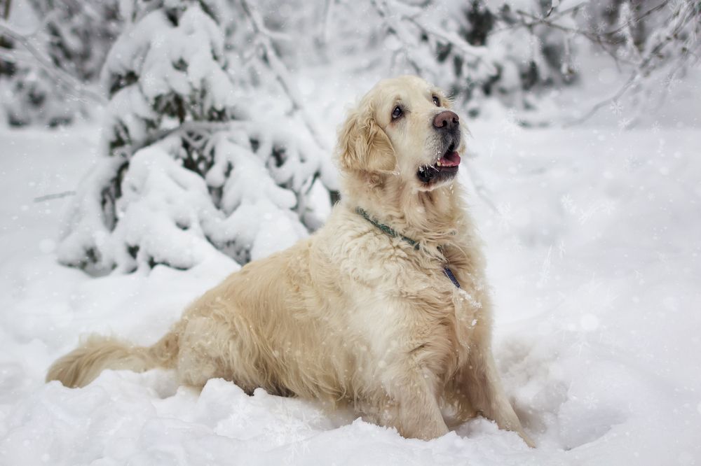 Photograph by Рушана Баженова