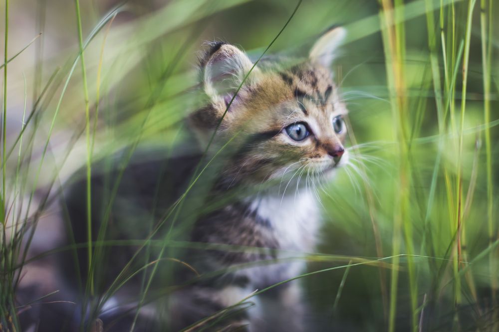 Photograph by Рушана Баженова