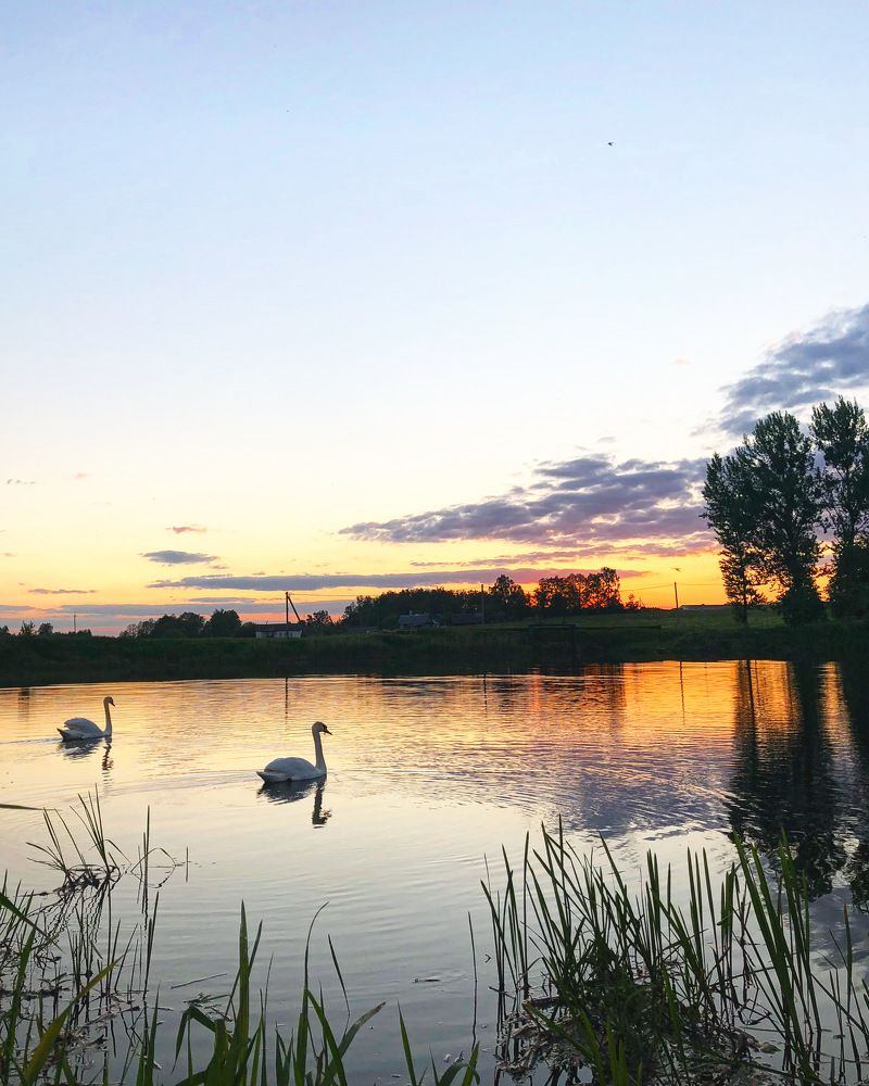 Photograph by Лариса Акинчиц