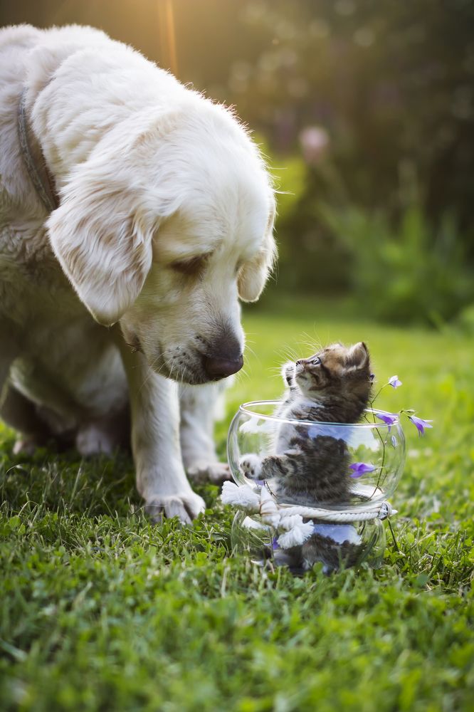 Photograph by Рушана Баженова