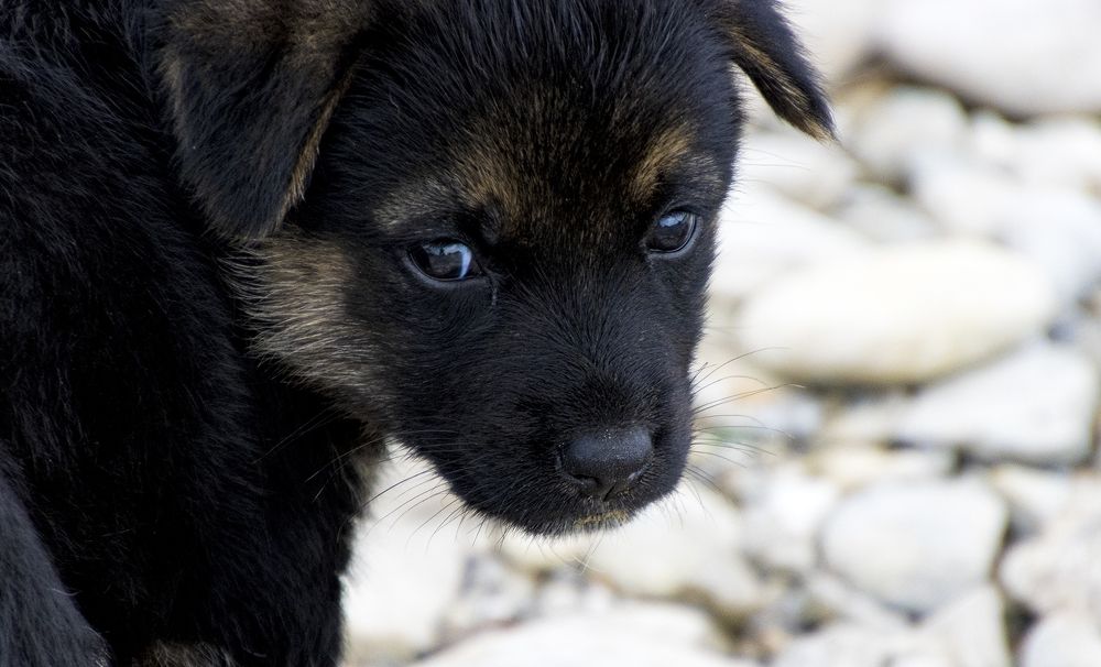 Photograph by Alex Kalpus