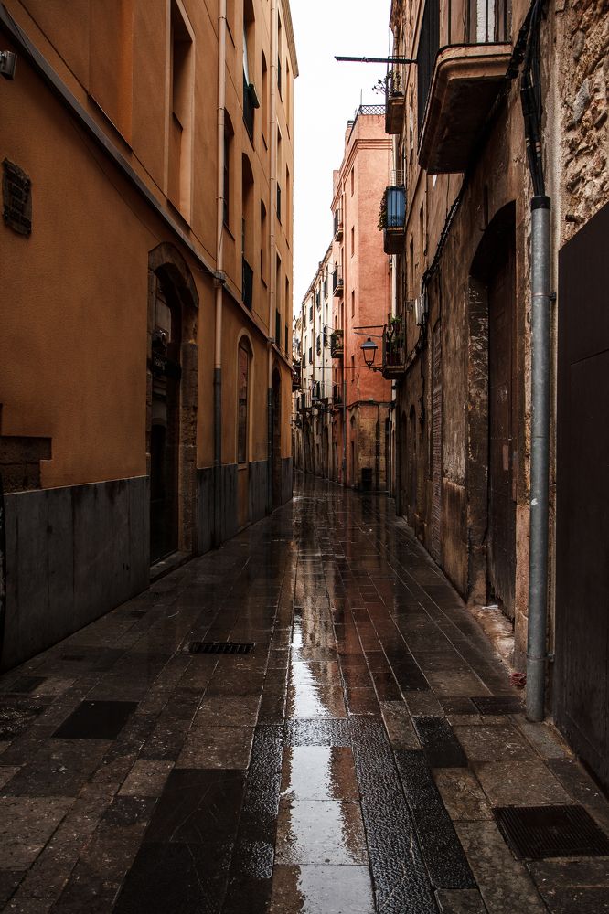 Фотография автора Елена Ельшина