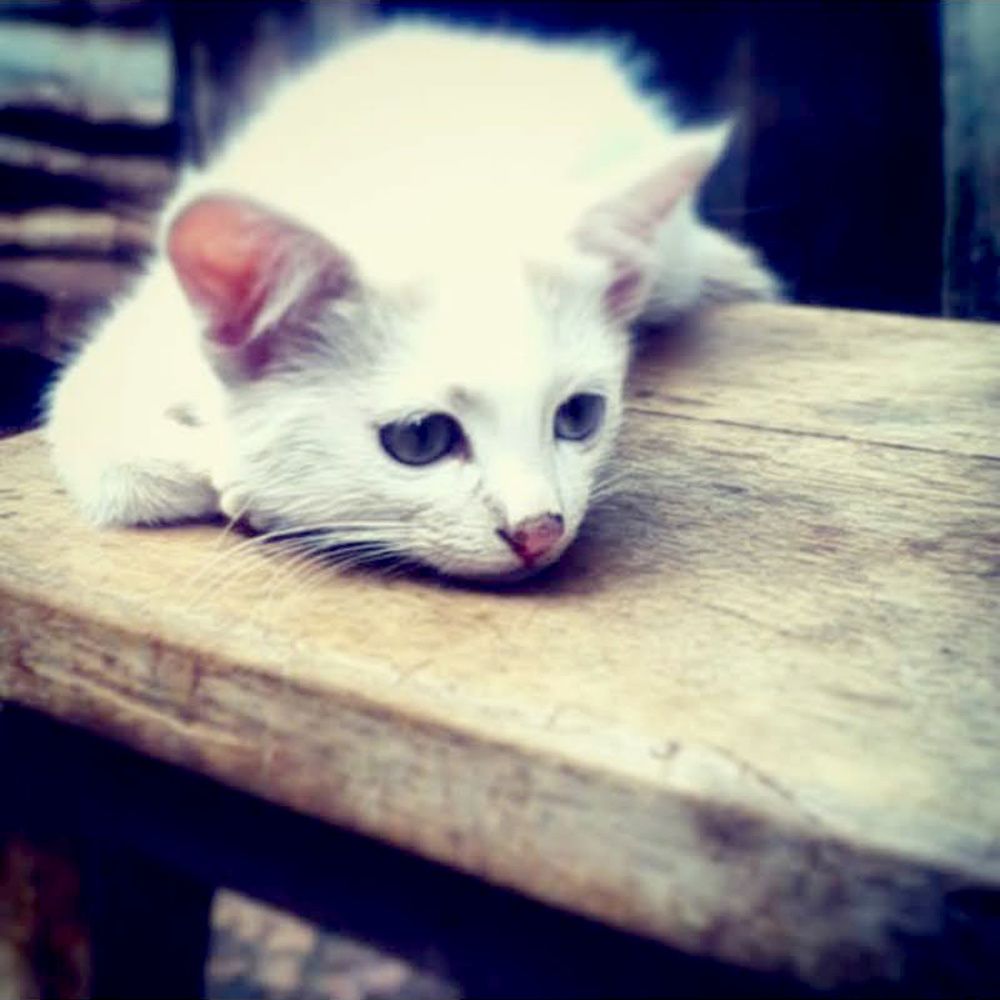 Photograph by Mackton Kipsang