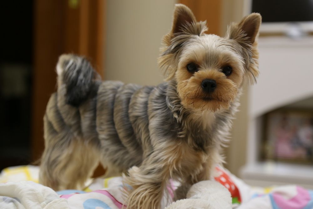 Photograph by Елена Буканина