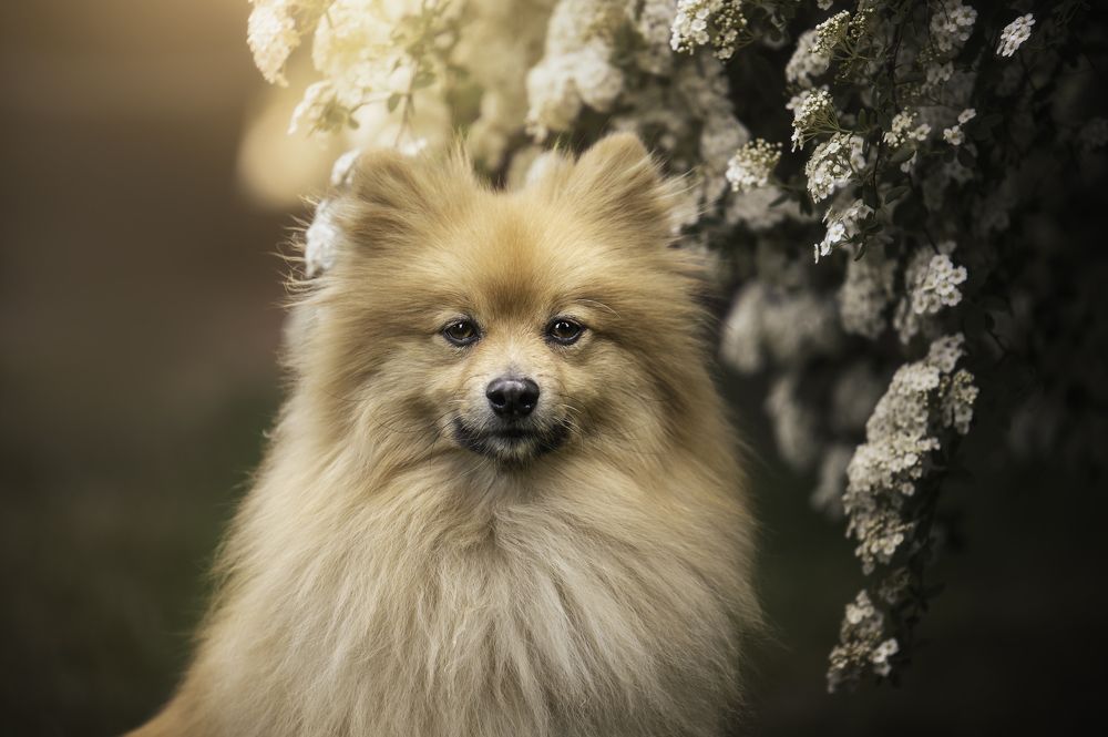 Photograph by Deise de Oliveira