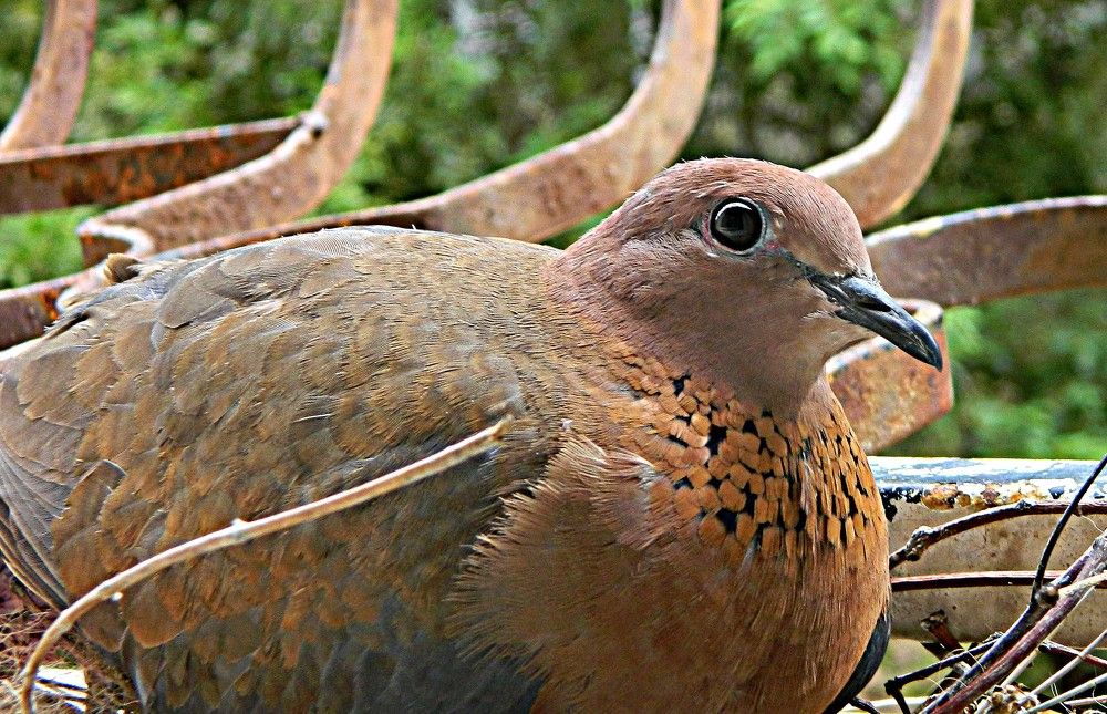 Photograph by Сергей Рапопорт