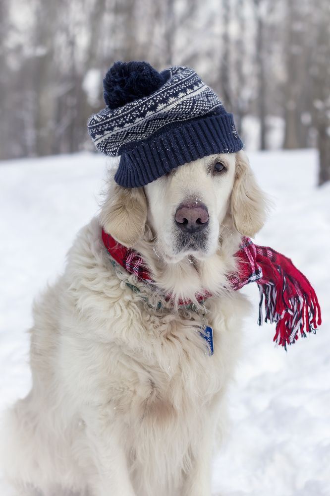 Photograph by Рушана Баженова